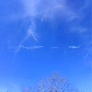 Bundle of Fabric - Bonita